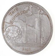 ~2004. 'Tere Euroopa - Toompea / Pikk Hermann - Eesti' Jelzett Ag Emlékérem (31,21g/0.999/40mm) T:1 (eredetileg PP)
~200 - Unclassified