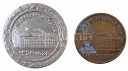 1938. 'Debreceni Collegium 1538-1938'  Gomblyukjelvény (2xklf) T:1-,2 Egyiken Patina - Ohne Zuordnung