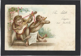 CPA Singe Monkey Position Humaine Humanisé Circulé Musique - Singes