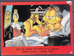 Garfield , OLD POSTCARD - TV-Serien