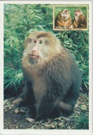 Nations Unies Genève Carte Maximum 1998 Macaque 340 - Cartes-maximum