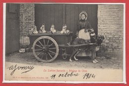 BELGIQUE --  BRUXELLES --  La Laitière Flamande - Attelage De Chien - Petits Métiers