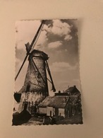 Wevelgem (oude Molen - Mill - Muhle - Moulin ) Gullegemstraat - Wevelgem