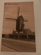 Wevelgem - Wevelghem - De Oude Molen Mill Muhle Moulin - Wevelgem