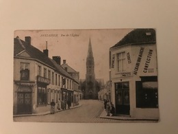 AVELGHEM - AVELGEM -  Rue De L'Eglise ( 1911 ) - Avelgem