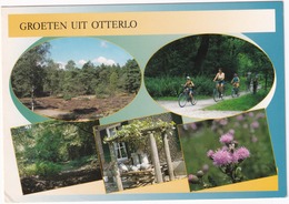 Groeten Uit Otterlo - Ede