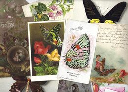 Lot 2090 De 10 CPA Papillon Déstockage Pour Revendeurs Ou Collectionneurs - 5 - 99 Postcards