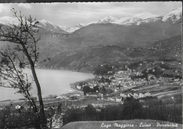 LOMBARDIA - LUINO PANORAMA - FOTOSTAMPA REGGIORI - NUOVA - Luino