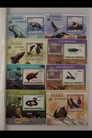 FLORA & FAUNA 2009-2011. NEVER HINGED MINT MINIATURE SHEET TOPICAL Collection Of The Comoros Islands. We See An Extensiv - Sin Clasificación