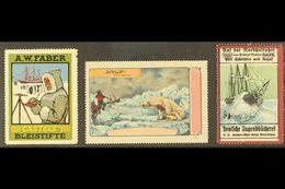 POLAR CINDERELLAS Early 20th Century Three Different Colourful Labels On A Stock Card, Unused No Gum, Small Faults, Scar - Sonstige & Ohne Zuordnung