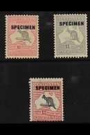 1932-35 Roo 10s, £1 & £2 Overprinted "SPECIMEN", SG 136s/38s, Very Fine Mint (3 Stamps) For More Images, Please Visit Ht - Sonstige & Ohne Zuordnung