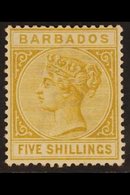 1882-86 5s Bistre Queen, SG 103, Very Fine Mint. For More Images, Please Visit Http://www.sandafayre.com/itemdetails.asp - Barbades (...-1966)