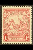 1938-47 1d Scarlet, Perf 13½ X 13, SG 249, Very Fine Mint. For More Images, Please Visit Http://www.sandafayre.com/itemd - Barbados (...-1966)
