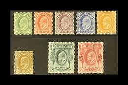 1904-12 KEVII Wmk Mult. Crown CA, Complete Set, SG 43/50, Fine Mint (8 Stamps). For More Images, Please Visit Http://www - Falkland