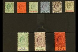 1904-08 Complete Definitive Set, SG 56/64, Mint, The 4s With Some Toned Perfs On The Back, Most Others Fine. (9 Stamps)  - Gibilterra