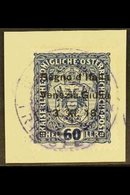 VENEZIA GIULIA 1918 60h, No Dot Over First "i" In "GIULIA" VARIETY, Sassone 12l, Very Fine Used On Piece. For More Image - Non Classificati