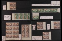 1946 'HEALTH STAMPS' VARIETIES WITHIN MULTIPLES. Fine Mint (all Stamps Never Hinged) Group Of All Different Identified V - Autres & Non Classés