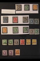 QV FORGERIES COLLECTION An Impressive Collection Written Up On Pages, Plus Many Stamps On Stockleaves Awaiting Incorpora - St.Lucia (...-1978)