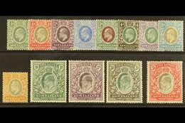 1904 Ed VII Set Complete, SG 32/44, Very Fine And Fresh Mint. (13 Stamps) For More Images, Please Visit Http://www.sanda - Somaliland (Herrschaft ...-1959)