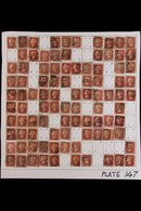 1864-79 PENNY RED PARTIAL PLATE RECONSTRUCTION PLATE 147 - A Partly Complete Used Reconstruction With 188 Of The 240 Che - Other & Unclassified