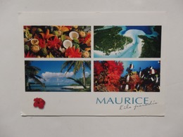 Maurice L'île Paradis. Les Couleurs De L'île. - Mauretanien