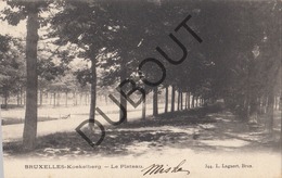 Postkaart/ Carte Postale - KOEKELBERG - Le Plateau (O860) - Koekelberg