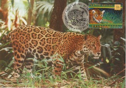Nations Unies New York Carte Maximum 1998 Jaguar 770 - Cartoline Maximum