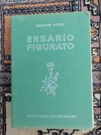 ERBARIO FIGURATO-di GIOVANNI NEGRI-EDITORE ULRICO HOEPLI-MILANO SPEDIZIONE € 6,00- - Giardinaggio