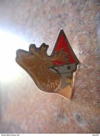 A006 -- Pin's Yenne -- Exclusif Sur Delcampe - Animales