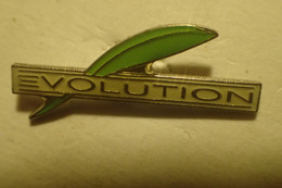 Pin's. Evolution. La Plume - Autres