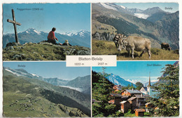 Svizzera Canton Vallese (VS) Blatten-Belalp Dorf Mucche Pascolo Croce - Blatten