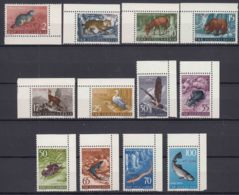 Italy Yugoslavia Trieste Zone B, Animals 1954 Mi#123-134, Sassone#101-112 Mint Never Hinged Marginal Set - Nuovi