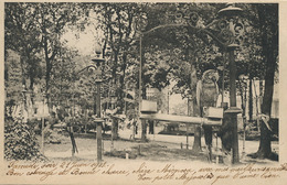 CP Envoi De La Guerche Aubois  1902 Parc Perroquets Parrots - La Guerche Sur L'Aubois