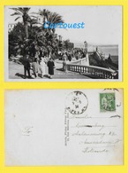 CPA ☺♦♦  MONACO - MONTE CARLO - Les Terrasses Du CASINO  ♦♦☺  1934 - Terraces