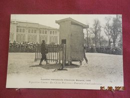 CPA - Marseille 1908 - Expostion Canine - Les Chiens Policiers - Poursuite D'un Cambrioleur - Weltausstellung Elektrizität 1908 U.a.