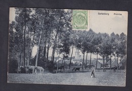 Kortenberg Cortenberg Prairies ( Animée Exp. Alexis Elbo Cachet Le Libre Echange Mention Verso à L. Bettinger Metz ) - Kortenberg