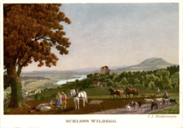 Schloss Wildegg Um 1790 - Wildegg