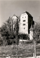 Schloss Wildegg - Bergfried Und Palas * 13. Okt. 1963 - Wildegg