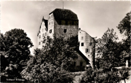 Schloss Wildegg (8482) - Wildegg