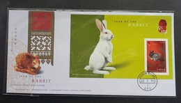 Hong Kong Year Of The Rabbit 2011 Chinese Zodiac Lunar (FDC) *imperf - Cartas & Documentos
