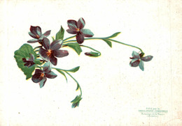 Delcampe - CHRMO CHOCOLAT D'AIGUEBELLE FLEUR - Aiguebelle