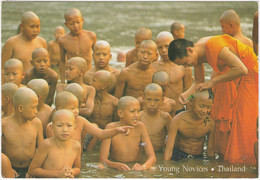 Buddhist Young Novices, Thailand - Buddhism