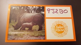 AFRICA, ZAMBIA, Rhino -    Old Postcard - Zambie