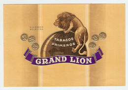 ETIQUETTE 13 X 19 Cm GAUFREE CIGARROS SELECTOS GRAND LION - TABAC - TABACOS PRIMEROS - CIGARE - MAPPEMONDE - Etiketten