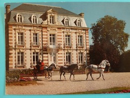 Saint Lo Haras Attelage De Poneys - Saint Lo