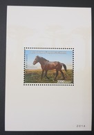 MADAGASCAR 2014 Mi 2678 - DELUXE PROOF SHEET BLOC EPREUVE DE LUXE - FAUNA CHINA HORSES HORSE CHEVAL CHEVAUX - RARE MNH - Chevaux