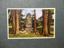 Winkelrieddenkmal Bei  Sempach 1936  (6041) - Sempach