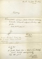 1871. Arany János (1817-1882) Költő, Az Akadémia Főtitkára Saját Kezű Aláírása Dekoratív Dokumentumon  /  János Arany Po - Zonder Classificatie