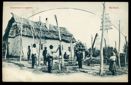 MOHÁCS 1917. Halásztanya Régi Képeslap  /  Fishing Camp  Vintage Pic. P.card - Hongarije