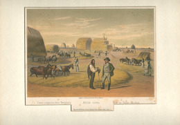 Alföldi Szérü.  Színes Lithográfia 28,5x40,8 Cm  STERIO Károly (1821-1862) Rajza Után  / Colored  Litho - Lithographies